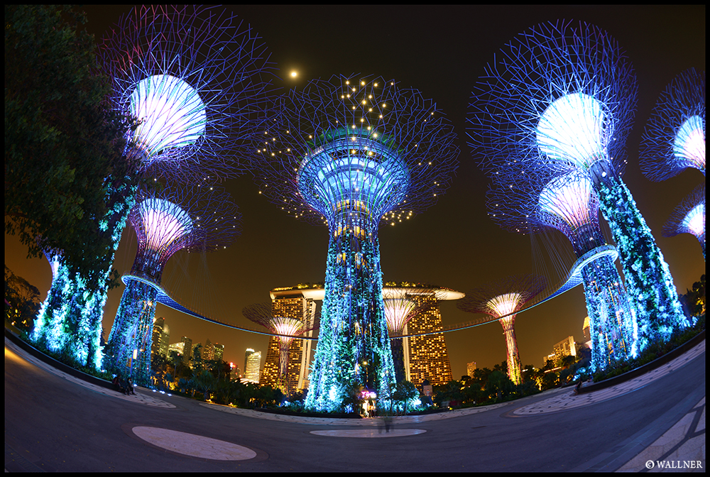 Digital Patrik Wallner Singapore Glowing Trees LOWQ 1000P